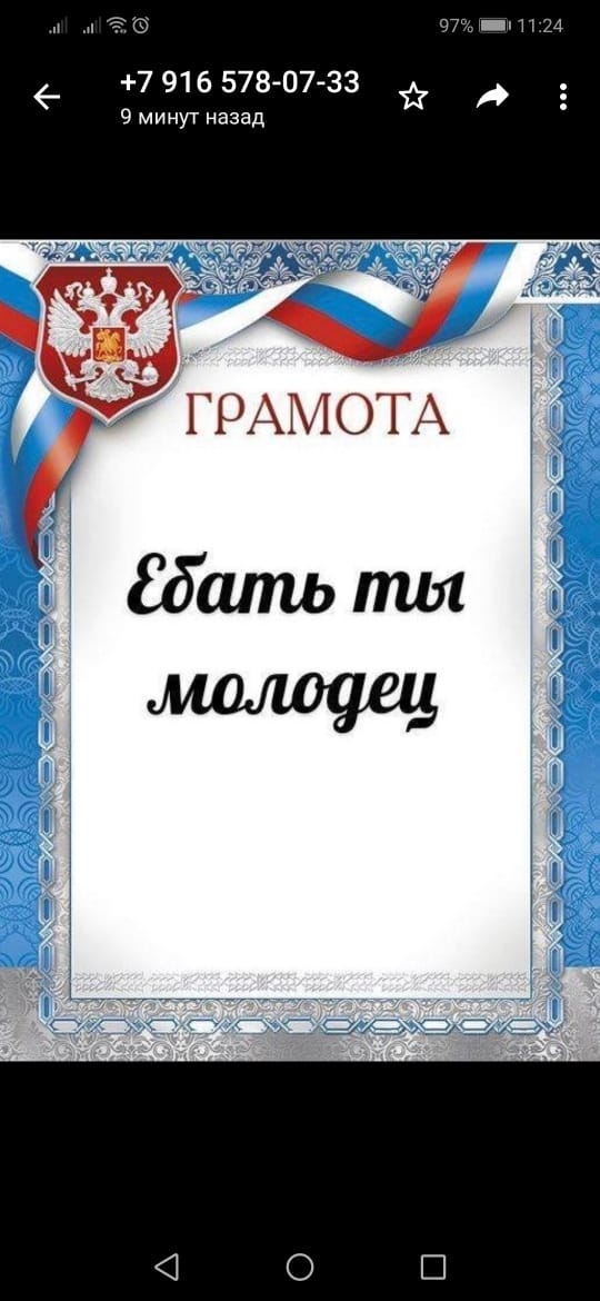 ПЖ _ П 24 7 916 578 07 33 9 минут назад