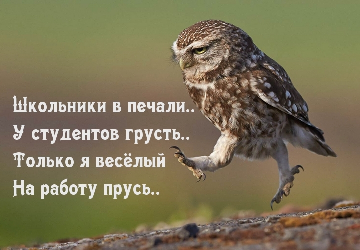 Школьники в печали У студентов грусть Только я весёлый 1 На работу прусь