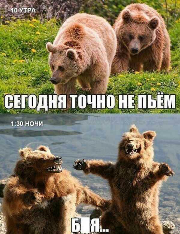 _ _ _ ы очно НЕ ПЬЕМ
