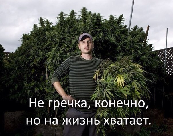 Не греЧка конечно но на жизньхватает