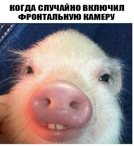ПГДА ВЛУЧАЙНП ВКЛЮЧИЛ ФРПНП ШЬНУЮ АМЕРУ