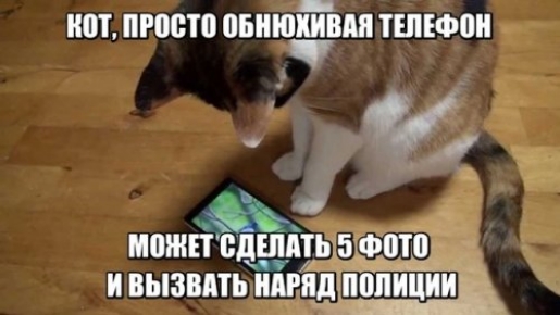 ИШ 0810 ВНИПИ ШШ ТЕПЕФПИ 3 1 и А МПЕЁЁДЁМЬ Ё И ВЫЗВАТЬ НАРЯД ЦШЩШП