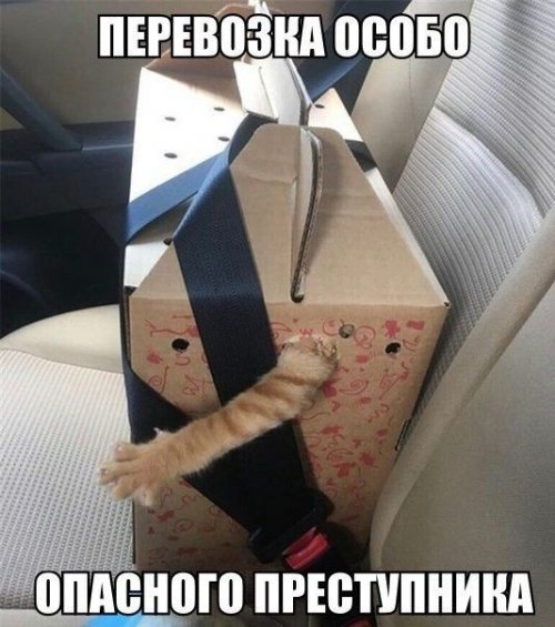 ПЕВНЮЗНА 08050 топленого пгютипнинд