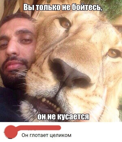 Он глотает целиком