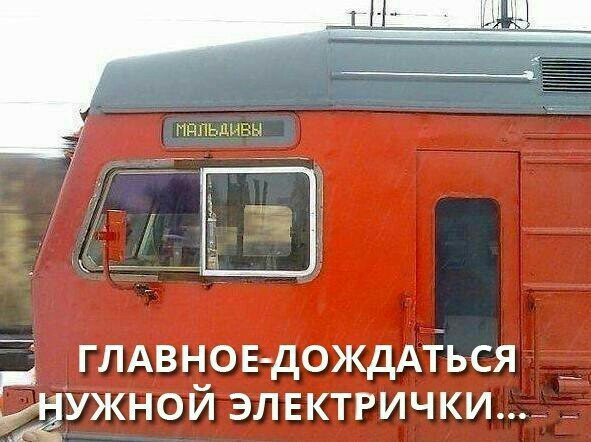 глдвнов дождАіься ужной элвктгички