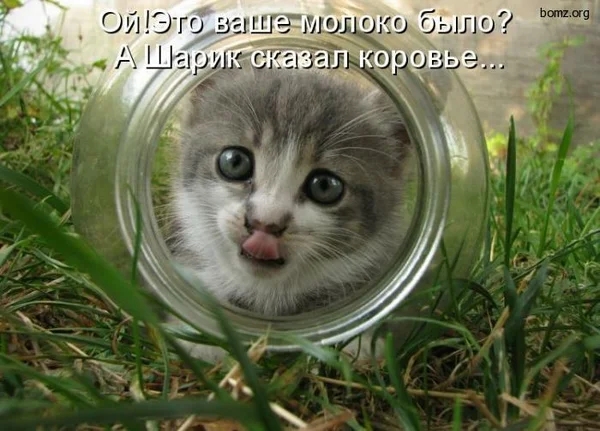 пишиш но было ОЛ Эго зашдмш г