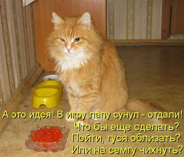 ПОЛГИ Г_7 _ Игщна