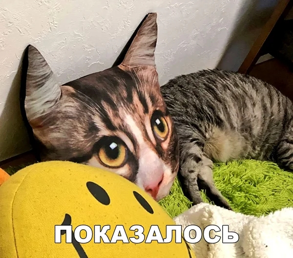 ПОЁКАЗАП