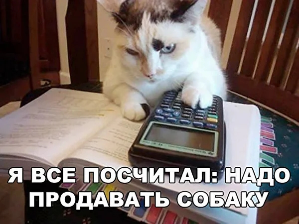 71 ПРОДАВЫ Ь СЁФБАі КУ