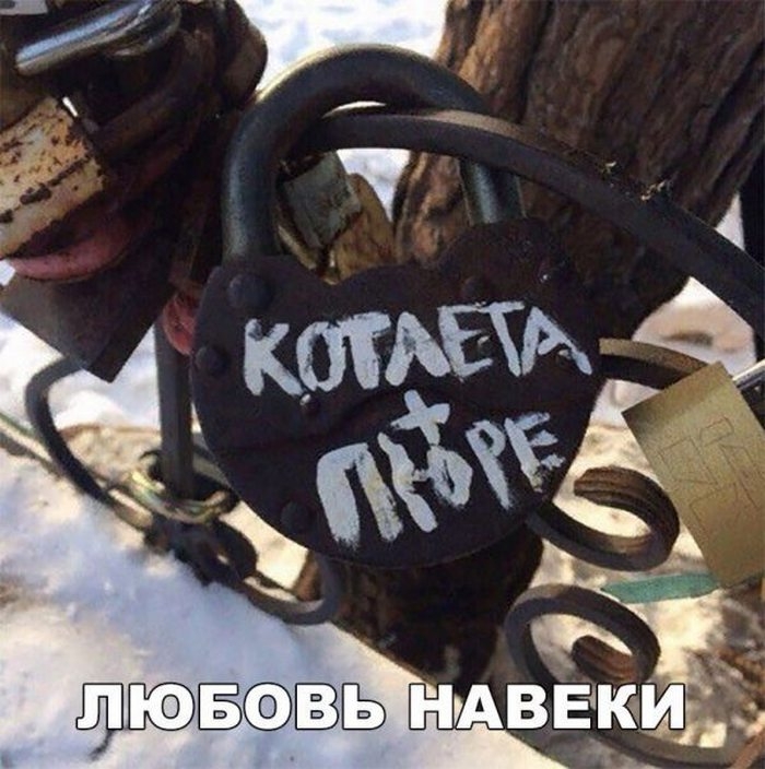 сфвь нщвеуіида