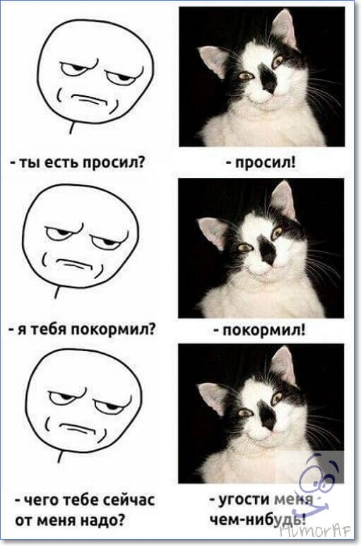 у ты есть просил просил я тебя покормил покормил чего тебе сейчас угости меня от меня надо чем нибудь