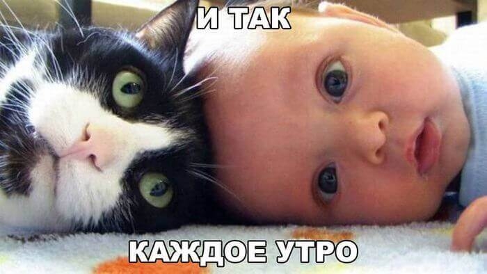КАЖДФЕ УТРФ