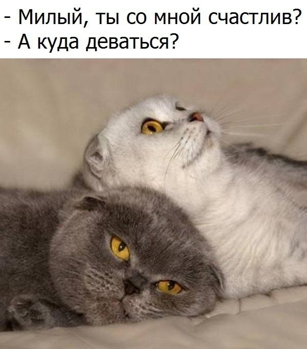 Милый ты со мной счастлив А куда деваться