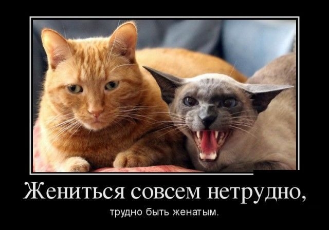 Жеъшться совсем нетрудно трудно быть женшым