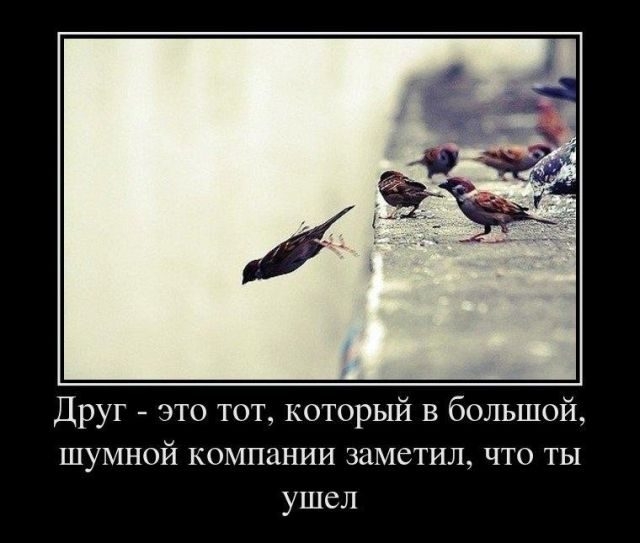 Друг это тот который в большой шумной компании заметил что ты ушел