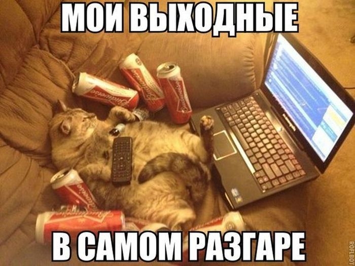 МПИ ВЬШЁЩПЫЕ В ВАМЁМ РЁЗГАРЕ