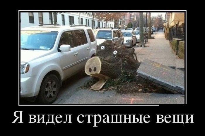 Я ВИДСЛ страшные ВСЩИ