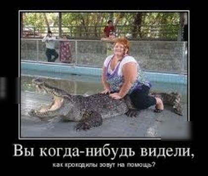Вы когда нибудь видели цвщп зип тиши