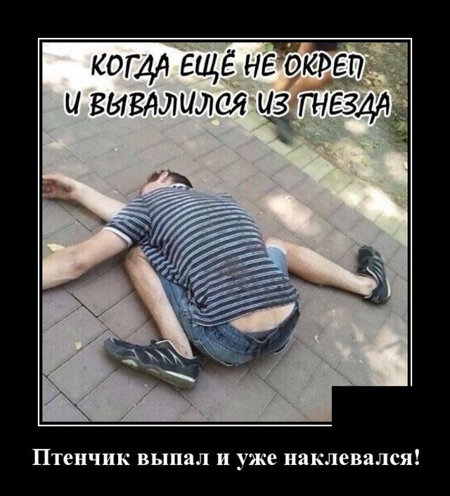 ПТСНЧИК выпал и уже наклевался