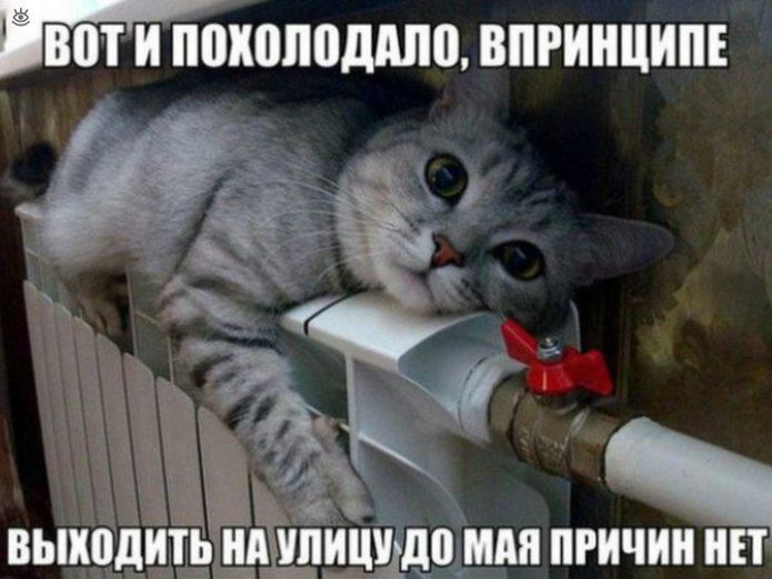 оппддпмпгинципі