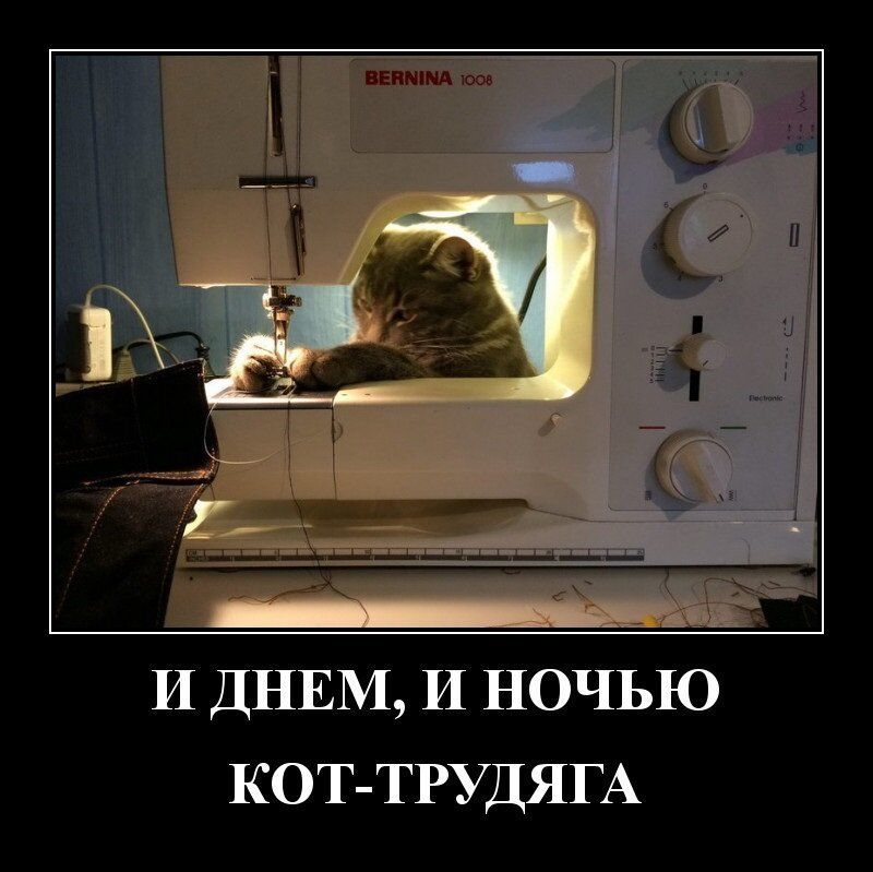 И ДНЕМ И НОЧЬЮ КОТ ТРУДЯГА