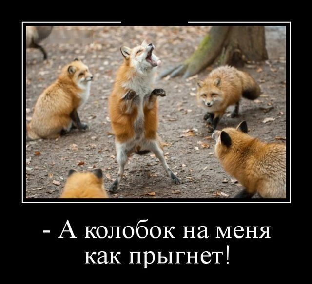 А колобок на меня как прыгнет