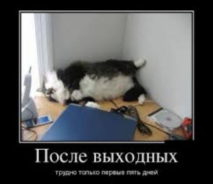 После выходных тт мр д