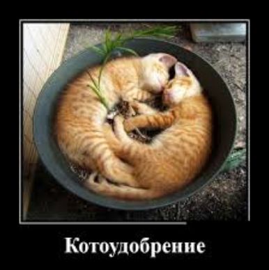 Коюудобреиие