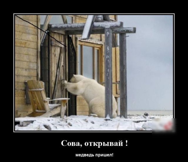 Сова открывай медведь пришел