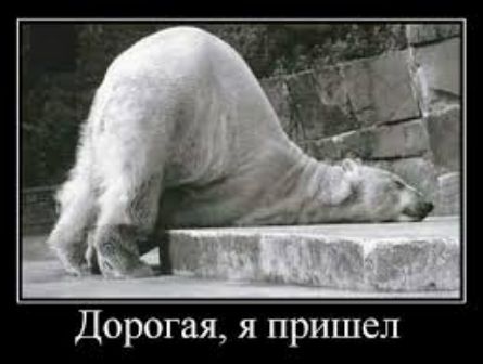 Дорогая я пришел