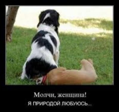11 Мыши ксшпшш я природа1 любуюсь