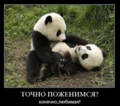 шт побит