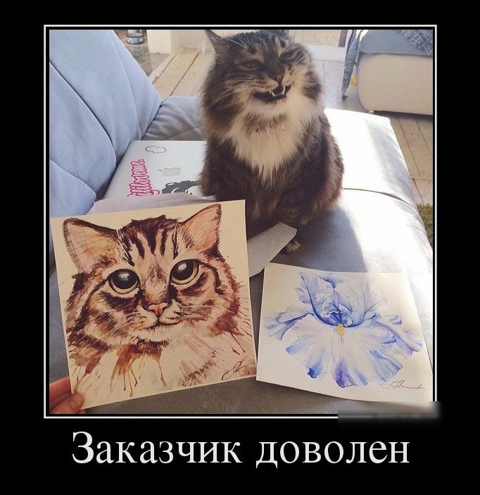 Заказчик доволен