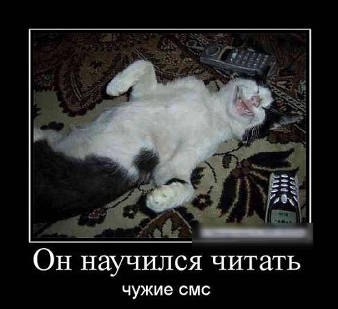 Он научился читать чужие СМС