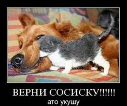 ВЕРНИ сосискшпш ато УКУШУ