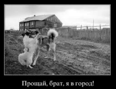 Прощніі брм в прод