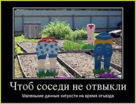 Чтоб соседи не отвыкли мцююшяыщв