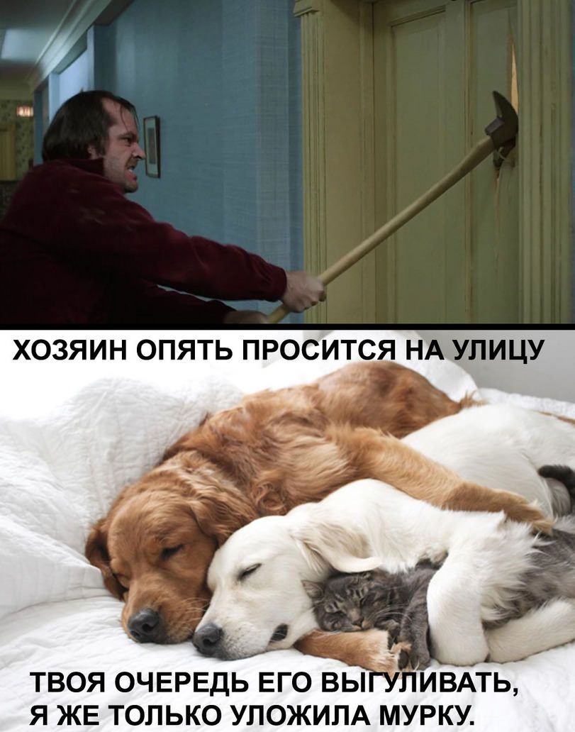 ХОЗЯИН ОПЯТЬ ПРОСИТСЯ НА УЛИЦУ ТВОЯ ОЧЕРЕДЬ ЕГО ВЫ Я ЖЕ ТОЛЬКО УПОЖИЛА МУРКУ