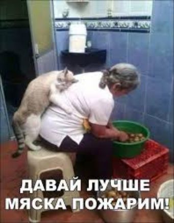 лучше мяСкАгюяі а