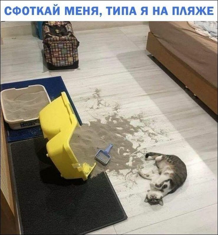 СФОТКАЙ МЕНЯ ТИПА Я НА ПАЯЖЕ _ дэ7х Ё