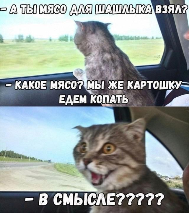 ФШШ В СМЬЮАЕ