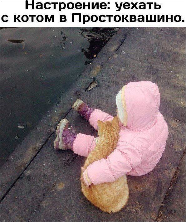 астроение уехать с котом в Простоквашино