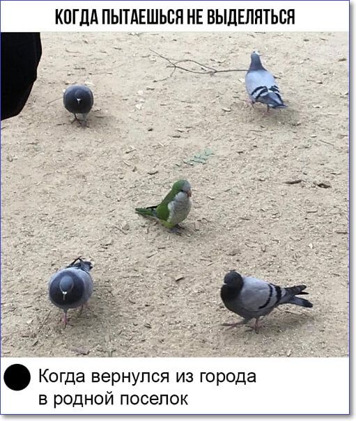 Когда вернулся из города в родной поселок