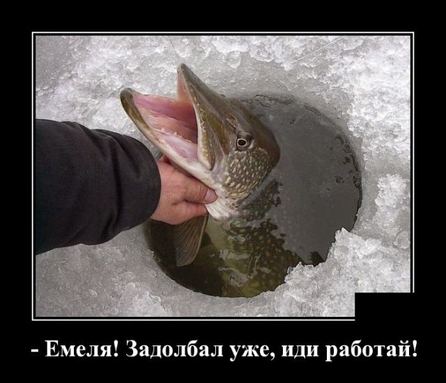 Емеля Задолбал уже иди работай