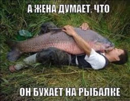 д ЖЕНЁШМЦЕТ ЧП