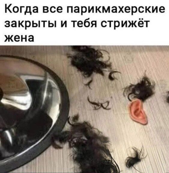 Когда все парикмахерские закрыты и тебя стрижёт жена