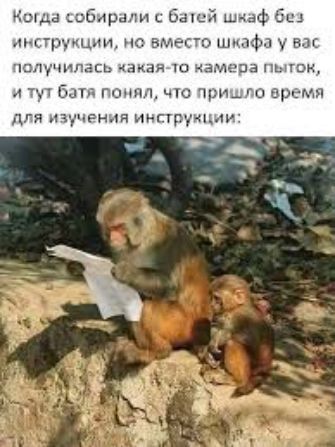 ноша шбдрнли с баш шкаф бш у в гра пыщ шир пшли но вмцт шкаф чощ цилапь акая ю зн т ч _ тп гони 1 цю чпу _го п мч дгя пт тили ингтрукіыи