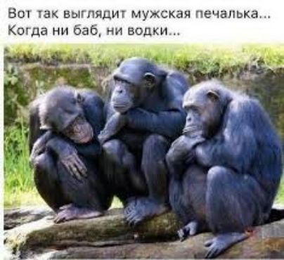 ВКЛ ТЗК ЕиЫПЯДИГ МУЖСКЗЯ ПЕЧЗПЬКЕЪ Коч да бай ни водки
