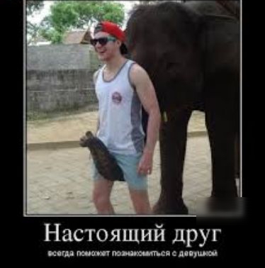 Настоящий друг цепную