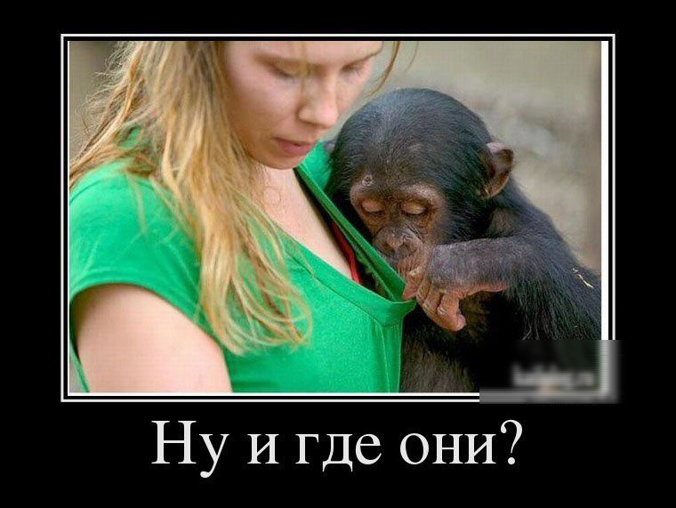 Ну И где ОНИ